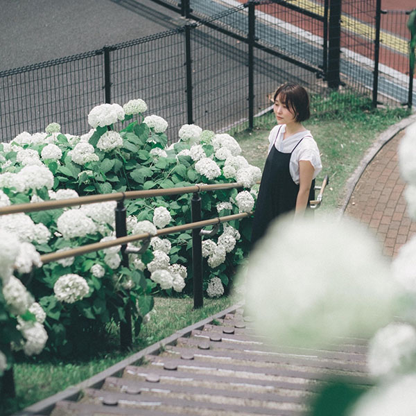 矢内安紀の顔写真