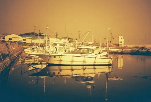 写真（フィルム）のサムネ