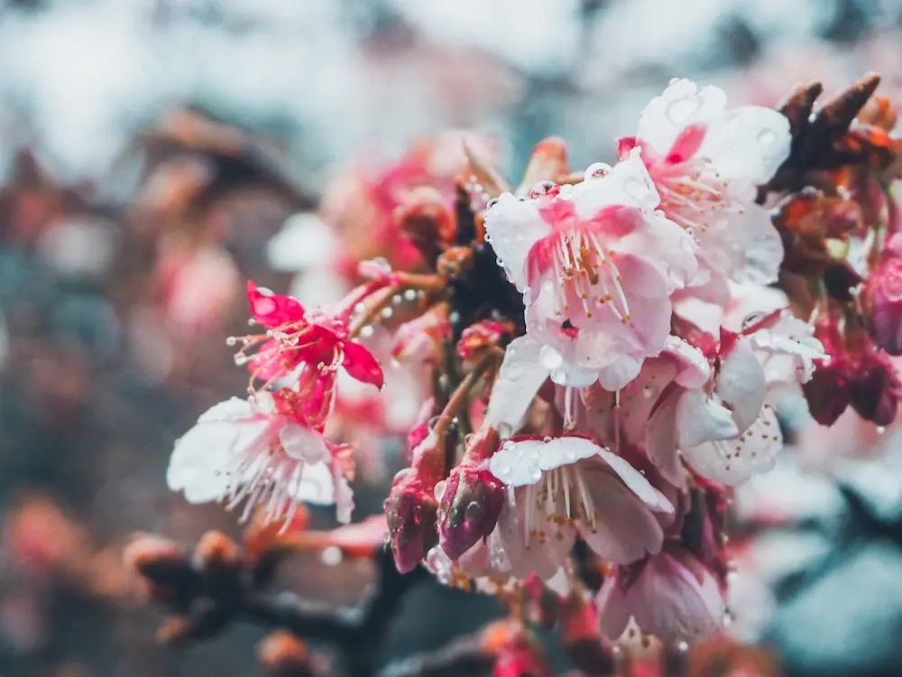 映画ポスターのメインビジュアル